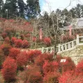 呑山観音寺の写真_156795