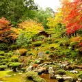 宗鏡寺（沢庵寺）の写真_157011