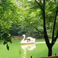 井の頭恩賜公園の写真_157266
