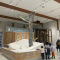 妙高高原ビジターセンターの写真_1572814
