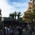 シェイクシャック 外苑いちょう並木店 （SHAKE SHACK）の写真_157375