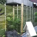  カフェ キツネ（CAFE KITSUNE）の写真_157384