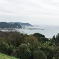 披露山公園の写真_157615