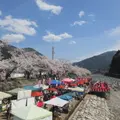 智頭河畔の写真_1577534