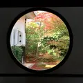 源光庵の写真_158656