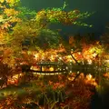 永観堂（禅林寺）の写真_158657