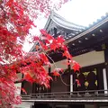仁和寺の写真_158660