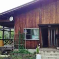 TAOの写真_159543