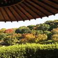 大仙公園・日本庭園の写真_159979