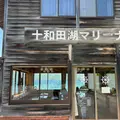 十和田湖マリーナの写真_1601259