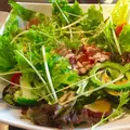 サンクスネイチャー 恵比寿店の写真_160354