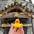 アヒル神社の写真_1604671