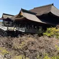 清水寺の写真_1604925