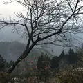 民宿焼畑の写真_160612