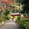 三室戸寺の写真_161012