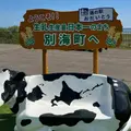 道の駅 おだいとうの写真_1613891