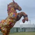 十和田市現代美術館の写真_1614593