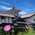 野良時計の写真_1616775