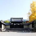 随心院の写真_162057