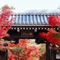 永観堂（禅林寺）の写真_162066