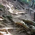鞍馬山の写真_162132