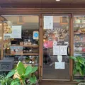 ココシカの写真_1622519