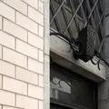中村健法律事務所の写真_162293