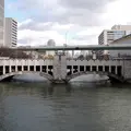 錦橋（にしきばし）の写真_162322