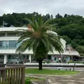 道の駅 フェニックスの写真_1624117