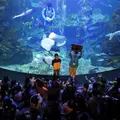 京都水族館の写真_162698