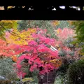 来迎院の写真_163213
