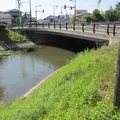 涙橋の写真_163510