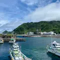 前浜港(神津島港)の写真_1635748