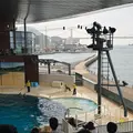 下関市立しものせき水族館・海響館の写真_1641003