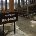 鳥の小塚公園の写真_164875