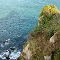 亀岩の写真_1649576