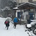 ビストロインえばーぐりーんの写真_165014