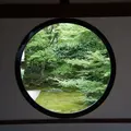 源光庵の写真_165116