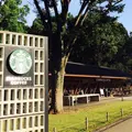 スターバックスコーヒー 上野恩賜公園店（STARBUCKS COFFEE）の写真_165149