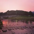 鴨川デルタの写真_165215