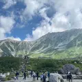 室堂平の写真_1652425