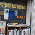 古書ビビビの写真_165262