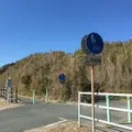 田原市サイクリングロードの写真_165388
