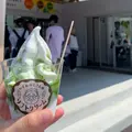 いずみおじさんのソフトクリームの写真_1654943