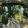 底抜池の写真_1656768