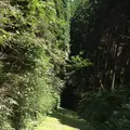 旧国鉄宮原線遊歩道の写真_165843
