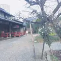 楽風の写真_165875