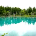 白金青い池の写真_1662769