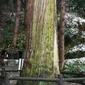 白虎隊記念館の写真_166489