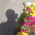 ひめゆりの塔の写真_166746